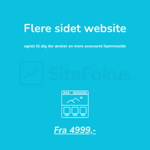 enkeltsidet website (1)